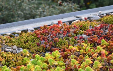 the cost of Baile Gharbhaidh green roof installation